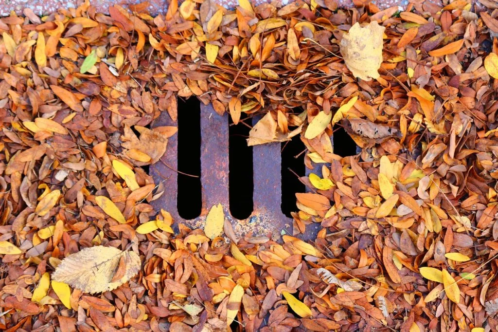 drain sewer cleaning